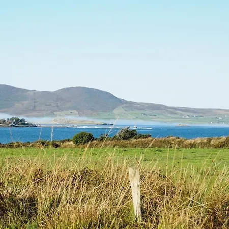 Nyaraló Stonechat - *